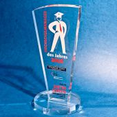 Hochschulmanagement Award 2008